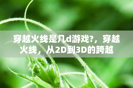 穿越火线是几d游戏?，穿越火线，从2D到3D的跨越