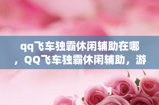 qq飞车独霸休闲辅助在哪，QQ飞车独霸休闲辅助，游戏乐趣的守护者还是破坏者？