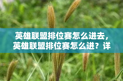 英雄联盟排位赛怎么进去,英雄联盟排位赛怎么进?详细攻略助你轻松上王者 英雄联盟排位赛怎么进去,英雄联盟排位赛怎么进?详细攻略助你轻松上王者