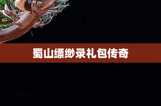 蜀山缥缈录礼包传奇