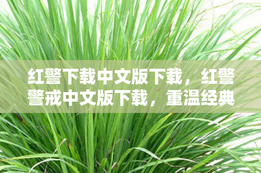 红警下载中文版下载,红警警戒中文版下载,重温经典,再燃战火 红警下载中文版下载,红警警戒中文版下载,重温经典,再燃战火