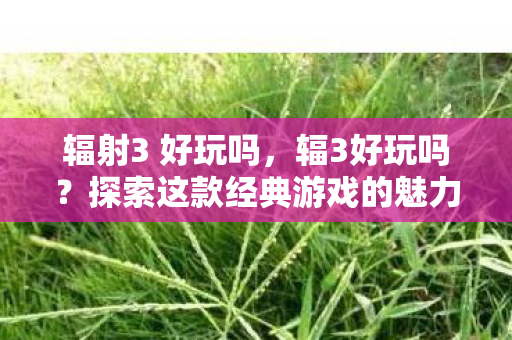 辐射3 好玩吗，辐3好玩吗？探索这款经典游戏的魅力