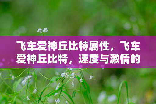 飞车爱神丘比特属性,飞车爱神丘比特,速度与激情的浪漫传说 飞车爱神丘比特属性,飞车爱神丘比特,速度与激情的浪漫传说