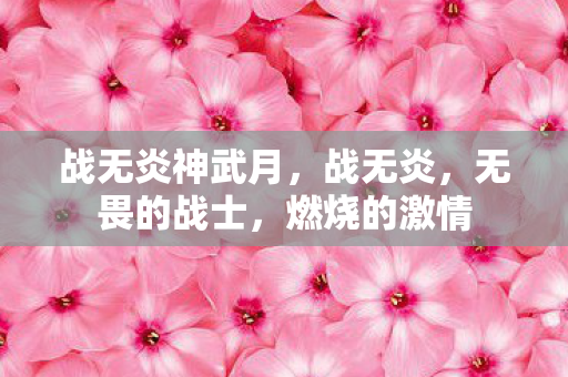 战无炎神武月,战无炎,无畏的战士,燃烧的激情 战无炎神武月,战无炎,无畏的战士,燃烧的激情
