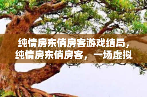 纯情房东俏房客游戏结局,纯情房东俏房客,一场虚拟与现实交织的浪漫冒险 纯情房东俏房客游戏结局,纯情房东俏房客,一场虚拟与现实交织的浪漫冒险