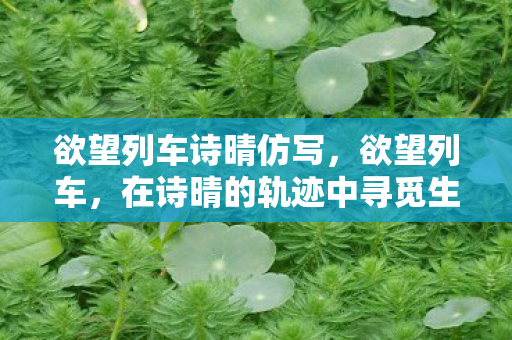 欲望列车诗晴仿写,欲望列车,在诗晴的轨迹中寻觅生活的真谛 欲望列车诗晴仿写,欲望列车,在诗晴的轨迹中寻觅生活的真谛