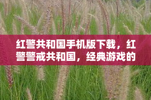 红警共和国手机版下载,红警警戒共和国,经典游戏的回忆与传承 红警共和国手机版下载,红警警戒共和国,经典游戏的回忆与传承