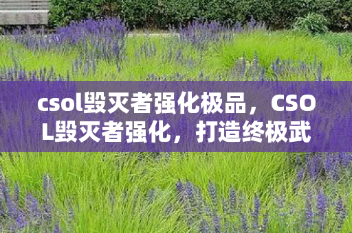 csol毁灭者强化极品,CSOL毁灭者强化,打造终极武器,征服战场! csol毁灭者强化极品,CSOL毁灭者强化,打造终极武器,征服战场!