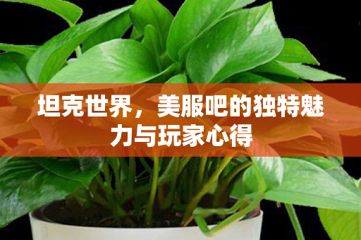 坦克世界,美服吧的独特魅力与玩家心得 坦克世界,美服吧的独特魅力与玩家心得