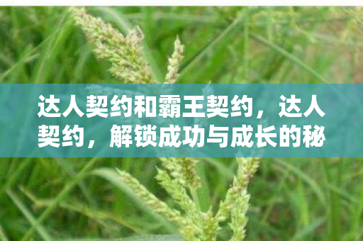 达人契约和霸王契约,达人契约,解锁成功与成长的秘密 达人契约和霸王契约,达人契约,解锁成功与成长的秘密