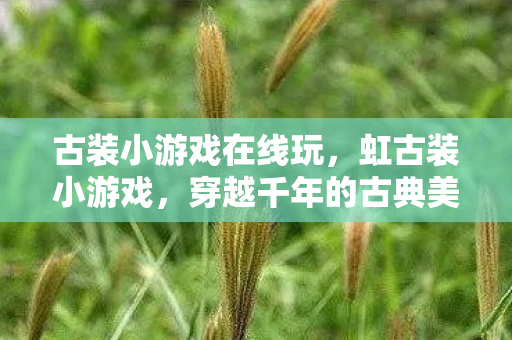 古装小游戏在线玩，虹古装小游戏，穿越千年的古典美