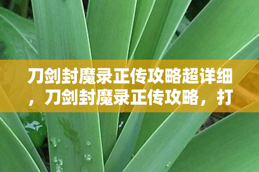 刀剑封魔录正传攻略超详细，刀剑封魔录正传攻略，打造最强战士，征服魔幻世界