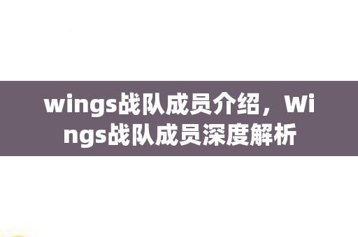 wings战队成员介绍，Wings战队成员深度解析