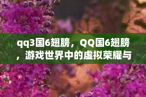 qq3国6翅膀，QQ国6翅膀，游戏世界中的虚拟荣耀与现实交织
