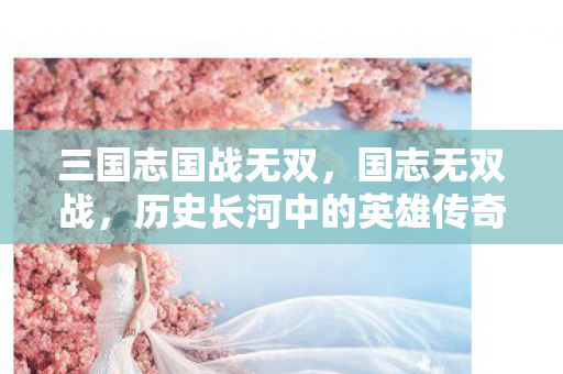 三国志国战无双，国志无双战，历史长河中的英雄传奇