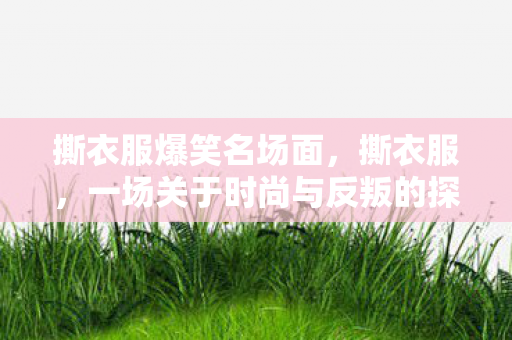 撕衣服爆笑名场面,撕衣服,一场关于时尚与反叛的探讨 撕衣服爆笑名场面,撕衣服,一场关于时尚与反叛的探讨