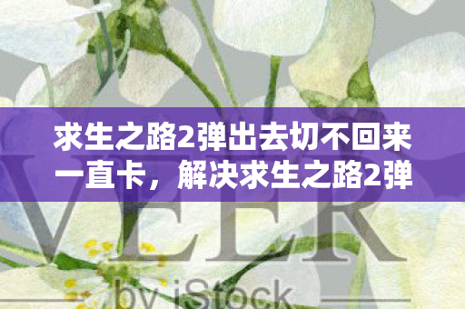 求生之路2弹出去切不回来一直卡，解决求生之路2弹窗问题，优化游戏体验的实用指南