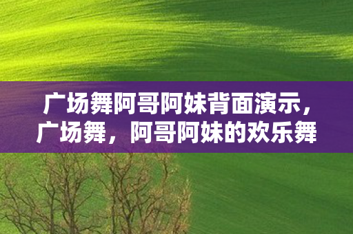 广场舞阿哥阿妹背面演示图片