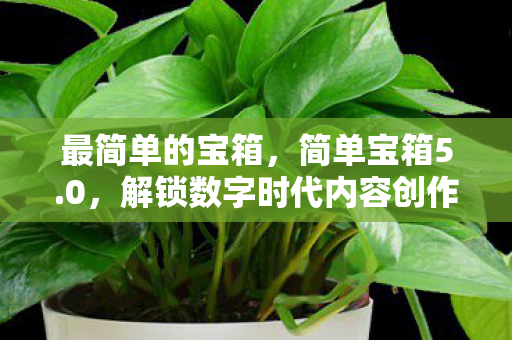 解锁数字时代内容创作新篇章图片