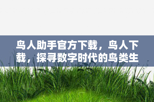 鸟人助手官方下载，鸟人下载，探寻数字时代的鸟类生态新纪元