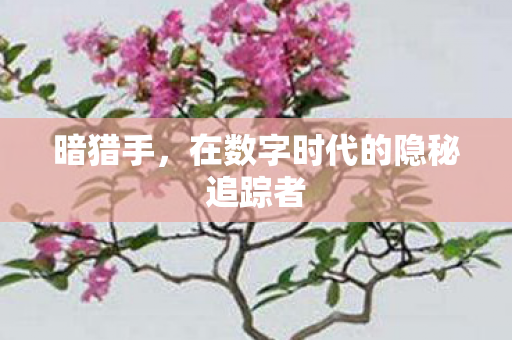 在数字时代的隐秘追踪者图片