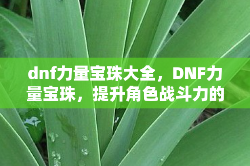 提升角色战斗力的神秘宝物图片