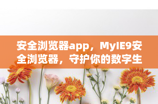 安全浏览器app，MyIE9安全浏览器，守护你的数字生活