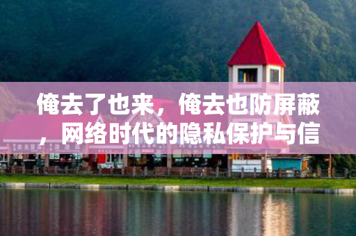 俺去了也来,俺去也防屏蔽,网络时代的隐私保护与信息安全 俺去了也来,俺去也防屏蔽,网络时代的隐私保护与信息安全