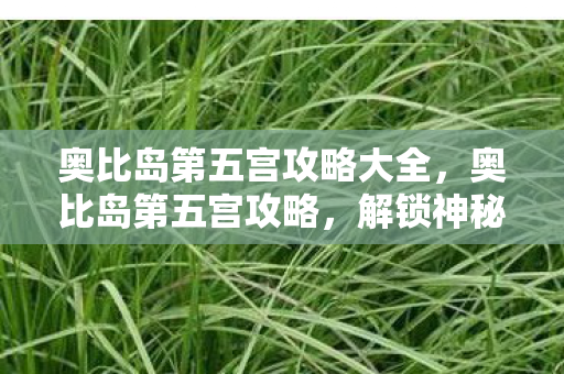 奥比岛第五宫攻略大全,奥比岛第五宫攻略,解锁神秘宝藏,挑战终极BOSS 奥比岛第五宫攻略大全,奥比岛第五宫攻略,解锁神秘宝藏,挑战终极BOSS