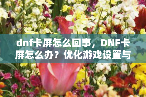 dnf卡屏怎么回事，DNF卡屏怎么办？优化游戏设置与硬件升级全攻略