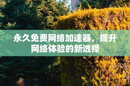 永久免费网络加速器,提升网络体验的新选择 永久免费网络加速器,提升网络体验的新选择