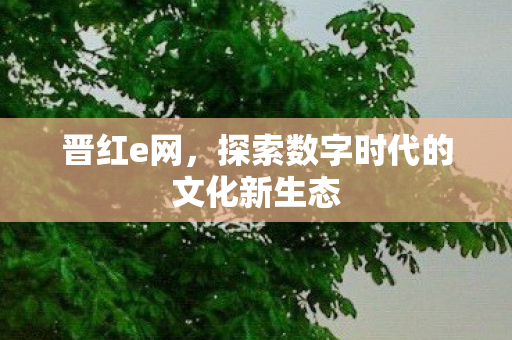 晋红e网，探索数字时代的文化新生态