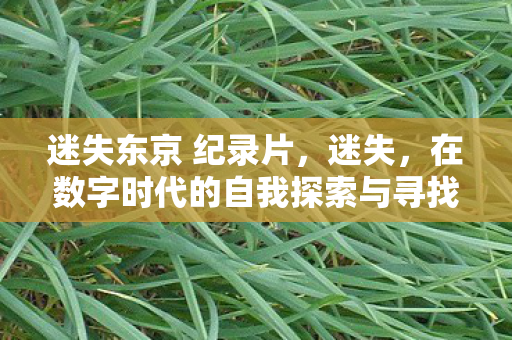 迷失东京 纪录片，迷失，在数字时代的自我探索与寻找