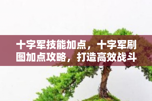 打造高效战斗力的关键图片