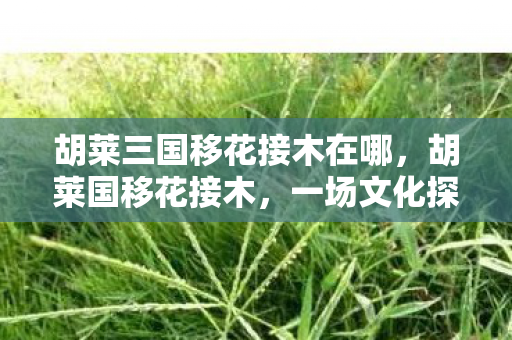 胡莱三国移花接木在哪，胡莱国移花接木，一场文化探索的奇妙之旅