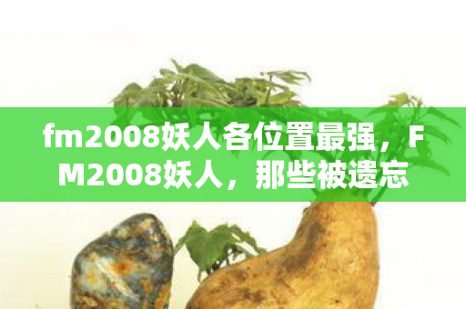 fm2008妖人各位置最强,FM2008妖人,那些被遗忘的足球天才 fm2008妖人各位置最强,FM2008妖人,那些被遗忘的足球天才
