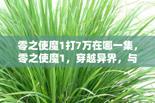 零之使魔1打7万在哪一集，零之使魔1，穿越异界，与萌宠的奇妙冒险