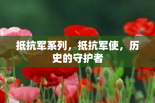 抵抗军系列,抵抗军使,历史的守护者 抵抗军系列,抵抗军使,历史的守护者