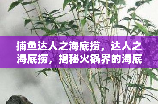 捕鱼达人之海底捞,达人之海底捞,揭秘火锅界的海底捞现象 捕鱼达人之海底捞,达人之海底捞,揭秘火锅界的海底捞现象