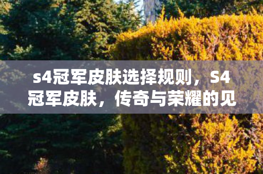 s4冠军皮肤选择规则,S4冠军皮肤,传奇与荣耀的见证 s4冠军皮肤选择规则,S4冠军皮肤,传奇与荣耀的见证