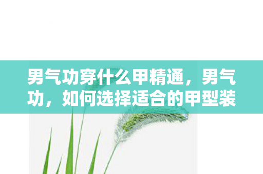 男气功穿什么甲精通，男气功，如何选择适合的甲型装备