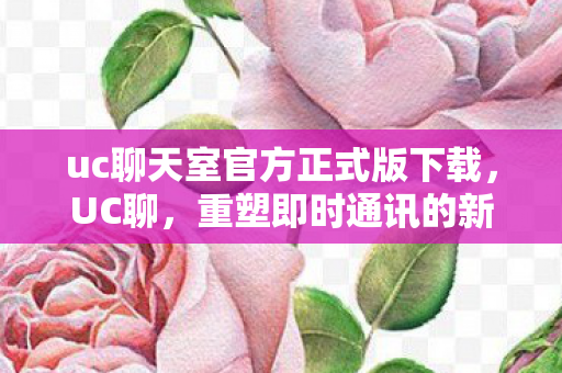 uc聊天室官方正式版下载图片