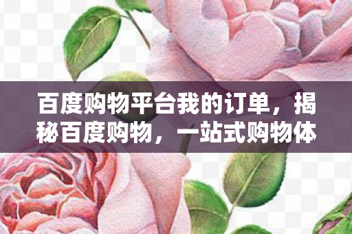 百度购物平台我的订单，揭秘百度购物，一站式购物体验的新选择