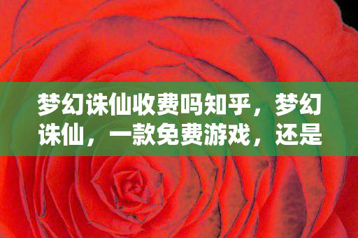 梦幻诛仙收费吗知乎图片