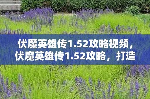 打造你的传奇之旅图片