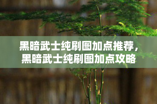 黑暗武士纯刷图加点推荐图片