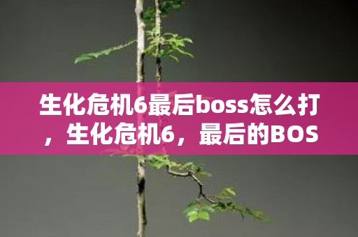 生化危机6最后boss怎么打,生化危机6,最后的BOSS战解析 生化危机6最后boss怎么打,生化危机6,最后的BOSS战解析