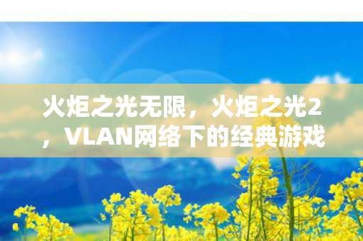 火炬之光无限，火炬之光2，VLAN网络下的经典游戏体验