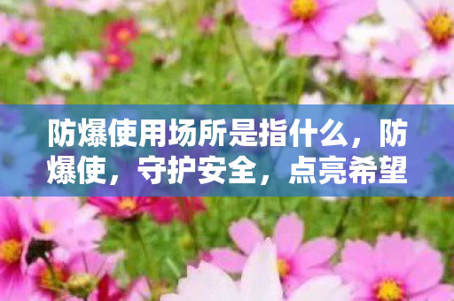 防爆使用场所是指什么图片