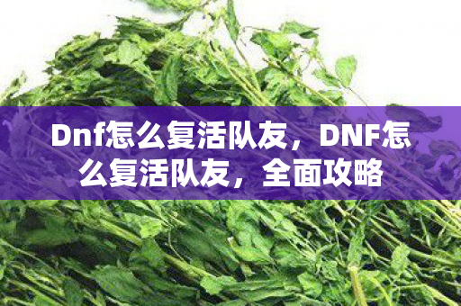 Dnf怎么复活队友图片